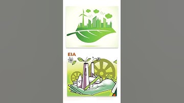 Environmental Impact Assessment | General Studies & Current Affairs for IAS Exam | Vajiram & Ravi