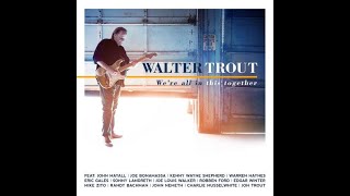 2017 - Walter Trout - Mr.  Davis