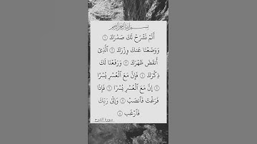 إن مع العسر يسرا 🤲 #قرآن #قران_كريم #قران #اكسبلور #سورة  #المصحف #fypyoutube #explore