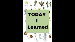 Today I Learned - Ryes And Oats Were Originally Weeds.