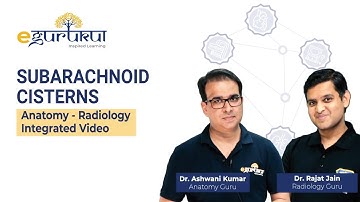 Subarachnoid Cisterns | Anat-Radiology Integrated video | DBMCI NEXT pattern teaching