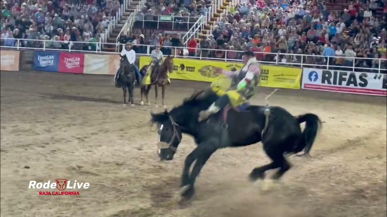 Rodeo Expogan Hermosillo Sonora 🌵🐂 YouTube