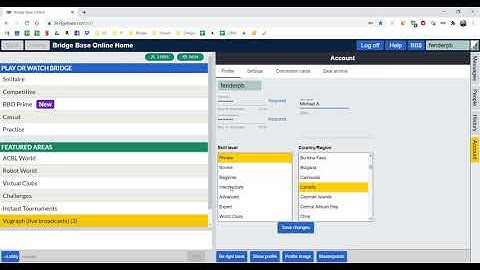 Summarize your system in BBO profile