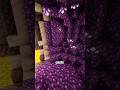 5 Random Minecraft Facts #minecraft #minecraftshorts