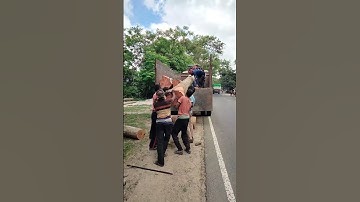 Heavy Log Loading | Fresh Timber Stock Arrival #shorts