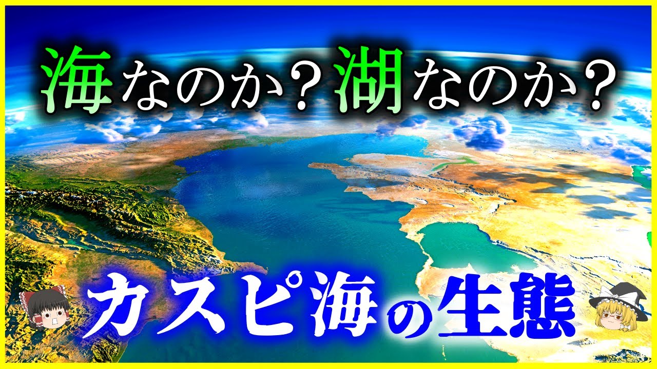 【ゆっくり解説】世界最大の湖が海に…⁉「カスピ海」の生態系を解説/海か湖かで争いが…？固有の生物と環境汚染問題