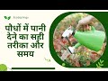 पौधों में पानी देने का सही तरीका और समय | Best Time & Way to Water Plants |Right Time to Water Plant