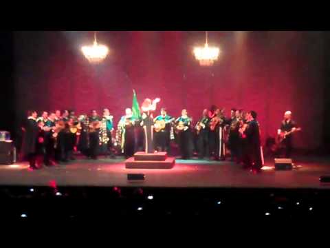 Desmayo Pastora Soler Concierto Fibe Sevilla