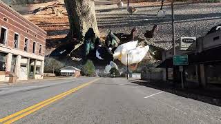 The Ducks of Hazzard in Meigs, GA