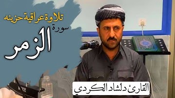 سورة الزمر تلاوة عراقیة حزینه بصوت القارئ دلشاد الكردي