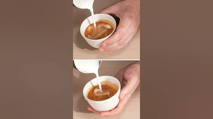 Milk Frother vs NanoFoamer Comparison