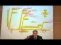 Pharmacodynamics by professor fink