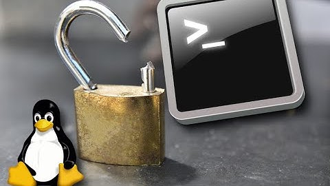 🐧 Linux Permissions + Privileges + Local Exploit Demo