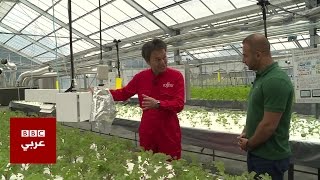 بيوت زراعية بلاستكية ذكية من اليابان- 4Tech