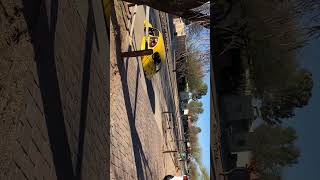IMG 1621