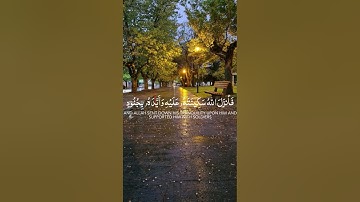 سورة التوبه ايه 40 ( إِلَّا تَنصُرُوهُ فَقَدْ نَصَرَهُ اللَّهُ إِذْ أَخْرَجَهُ الَّذِينَ كَفَرُوا)