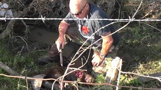 Fighting the Beaver Cong, Part 1 #beavertrapping