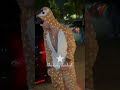 Justin Bieber Steps Out In Animal Onesie While at Halloween Party With Hailey Bieber #justinbieber