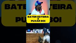 Bater Esteira x Puxar Boi! #vaquejada