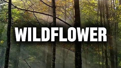 Thumbnail of Billie Eilish - Wildflower (song lyrics)