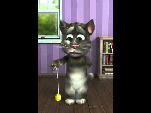 Der Sprechende Kater Der Sprechende Kater