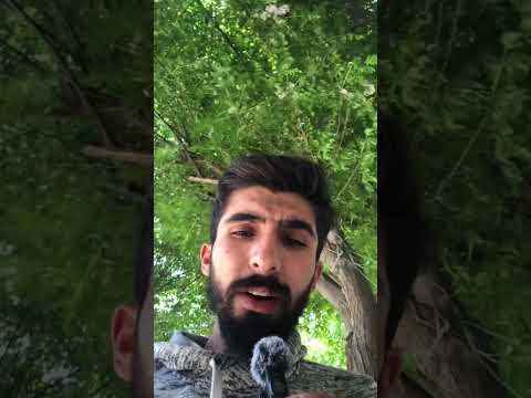 اسوء ميكروفون اشتريته