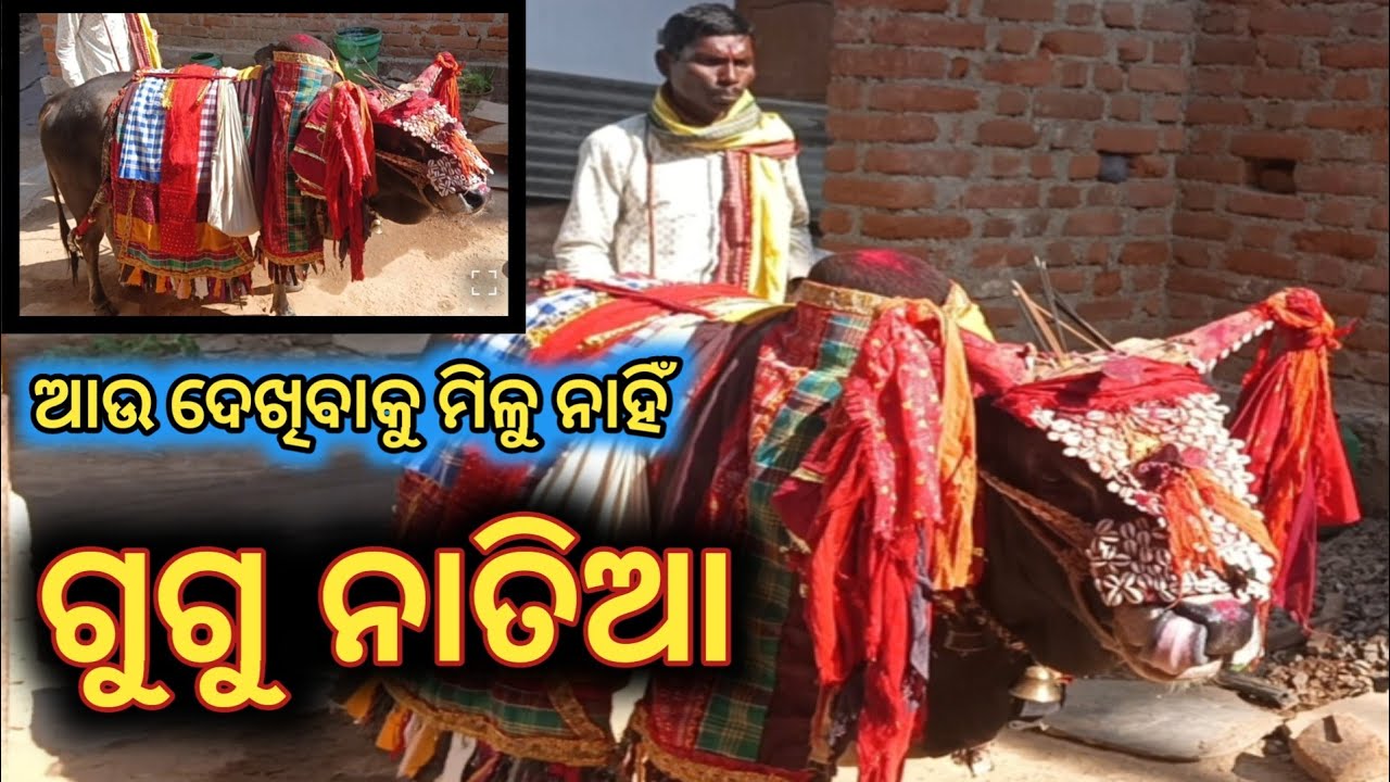 ଗୁଗୁ ନାତିଆ // ଲୋପ ପାଇ ଯାଇଥିବା ଏହି ଷଣ୍ଢ ବାବ ଭଜନ // shree official 