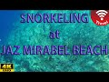 Snorkeling at Jaz Mirabel Beach (4K UHD)