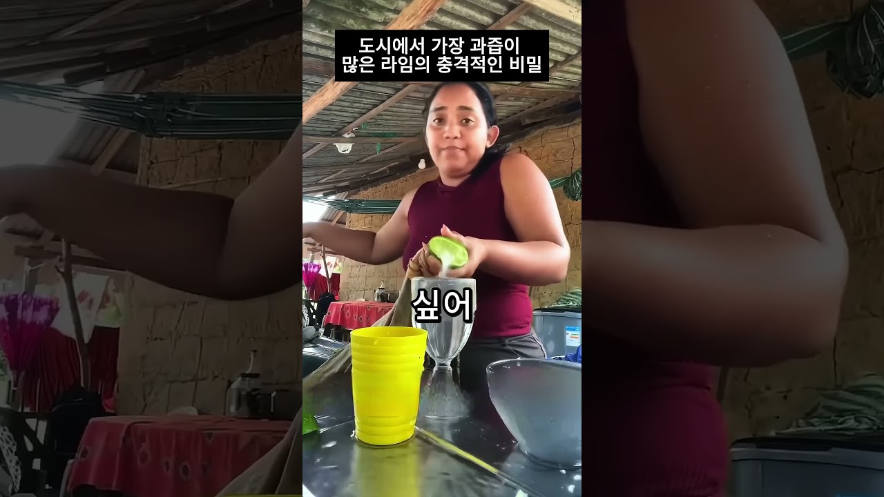 도시에서 가장 과즙이 많은 라임의 충격적인 비밀 🍋😹