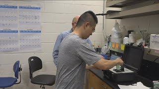 University of Toledo researchers first in US to use German system for monitoring algal blooms