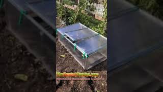 Tips on Buying a Cold Frame - Auto Vent & Polycarbonate: 60 Seconds or Sow Garden Videos #shorts