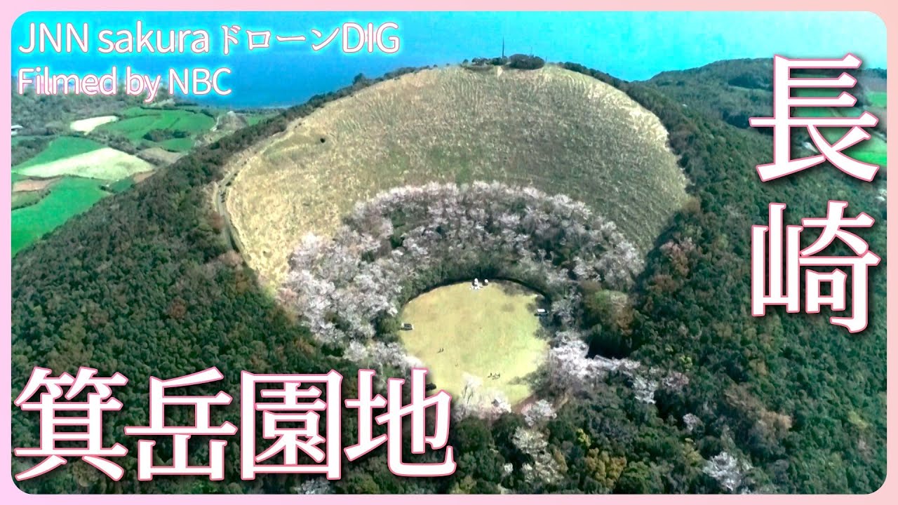 火口を縁取る島の桜 長崎県・五島市 箕岳園地【JNN sakuraドローンDIG