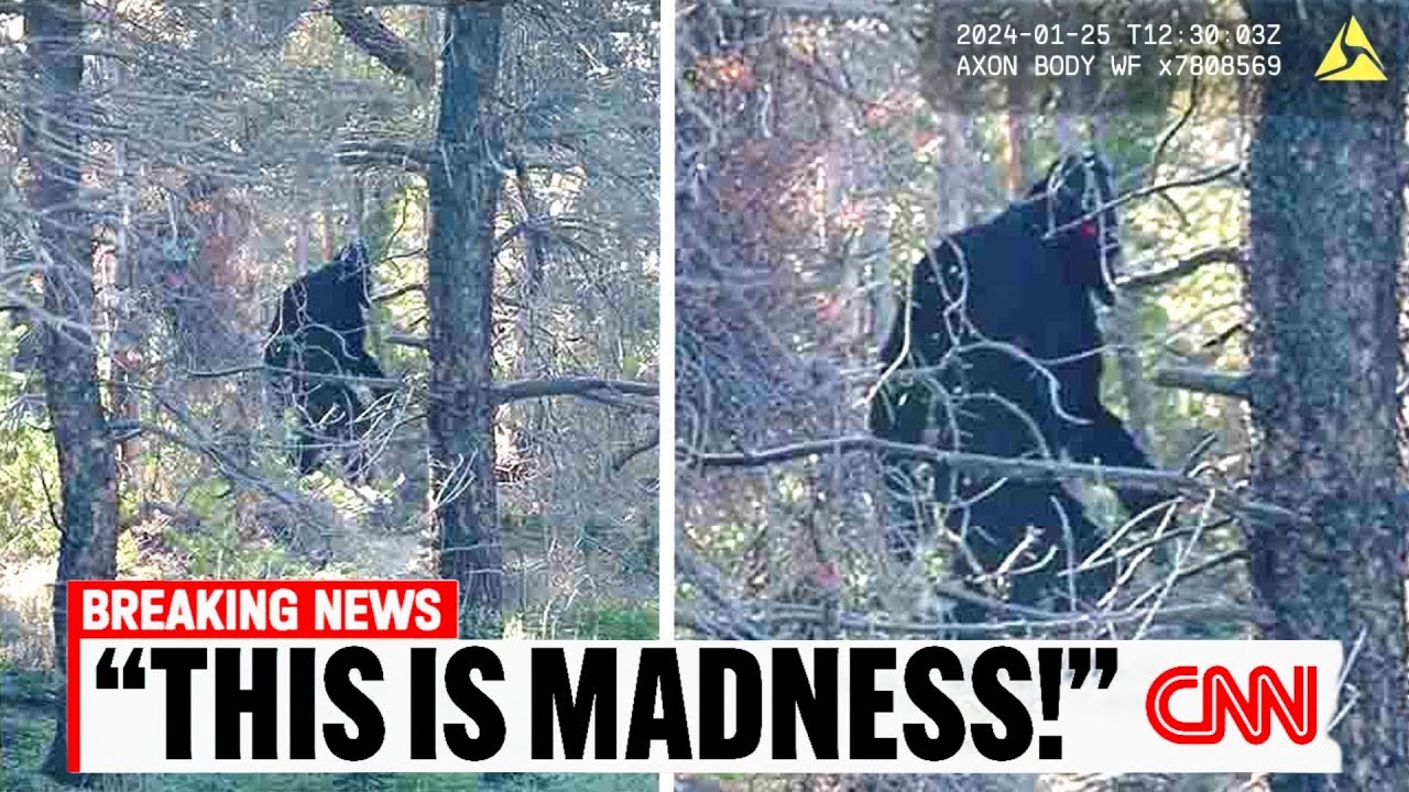 VIRAL: Expedition Bigfoot Captures Most SHOCKING Evidence Caught on Camera