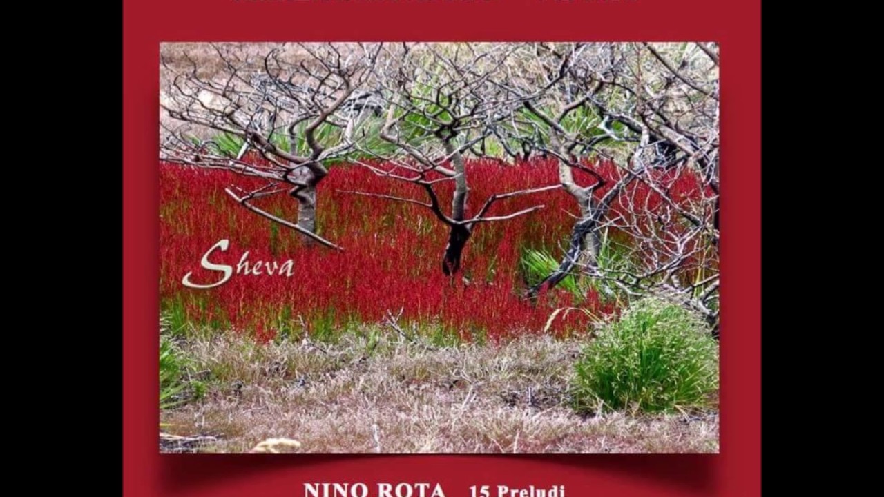 Alessandro Vena - Nino Rota No. 2, Preludio, Allegro