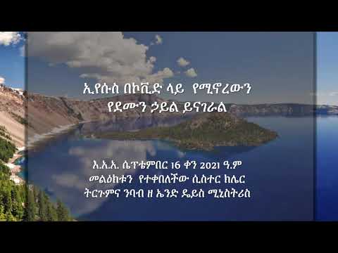 ቪዲዮ: የካዛክኛ ኮከቦች የንግድ ሥራን የሚያሳዩ ምን መኪናዎች ናቸው?