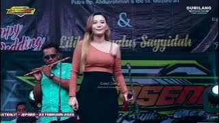 SAMSENG MUSIC - TERLALU SAYANG EVIS RENATA - WEDDING PARTY RIZKY & LILIK RAGUKLAMPITAN TERBING