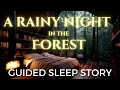 Guided sleep story  a rainy night in the forest