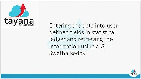 Enhancing Journal Transactions with User-Defined Fields