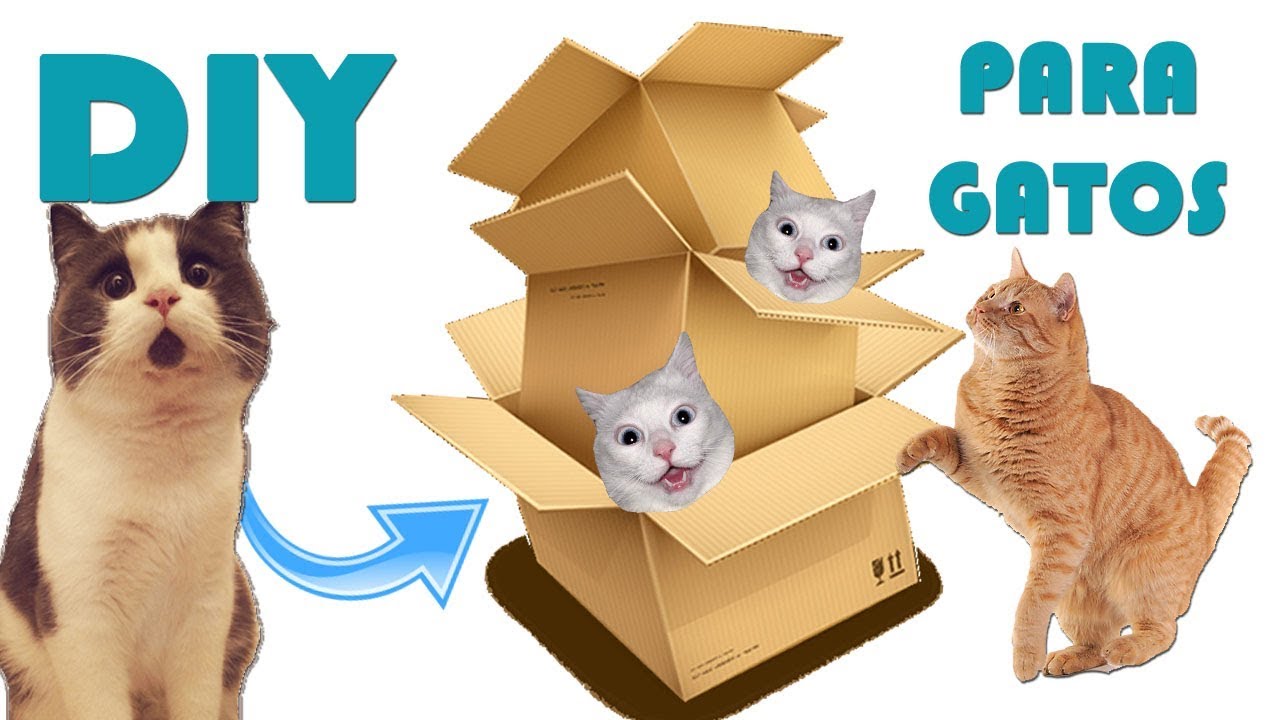 Como hacer rascadores para gatos de carton