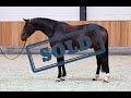 (SOLD) Pablo schooling