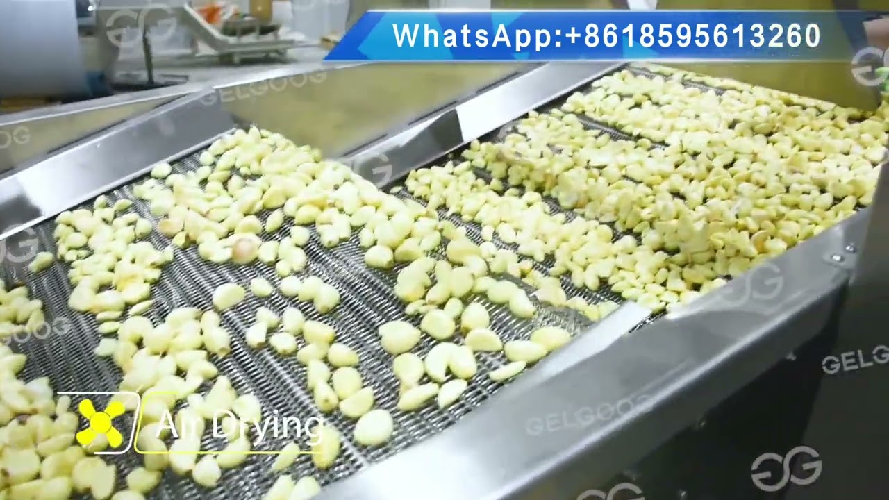 INTBUYING Electric Garlic Peeler Commercial Full Auto Garlic