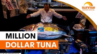 Information Record $4.8 million bluefin tuna sold in Tokyo | Sunrise Guide