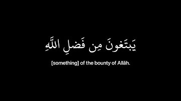 [علم ان سيكون منكم مرضى] كروما قران شاشه سوداء - القارئ عبدالرحمن مسعد .