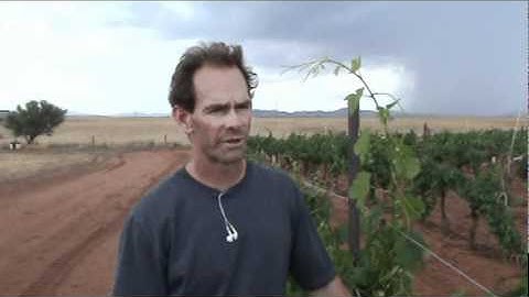 In The Vineyard With Kent Callaghan 2011.wmv