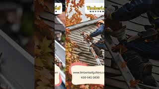 Reliable Gutter Repair Services by Timberleaf Gutters #reels #trending
