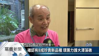 確認有8成珍貴新品種 環團力護大潭藻礁【客家新聞20190223】
