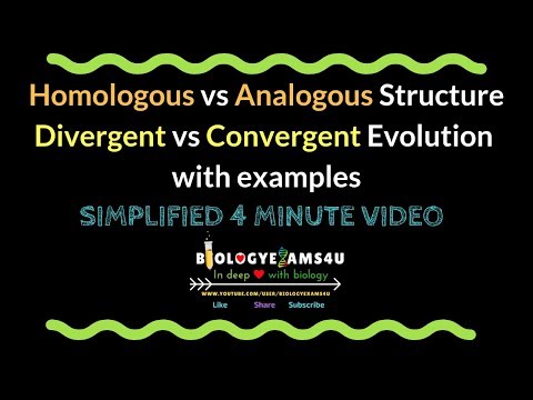 Homologous vs Analogous Structure, Divergent vs Convergent Evolution with examples