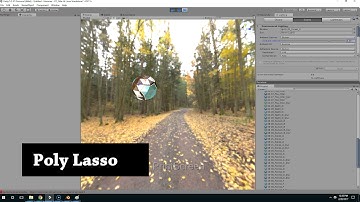 Surforge Poly Lasso Tool