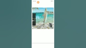 Pixel art nosy shark