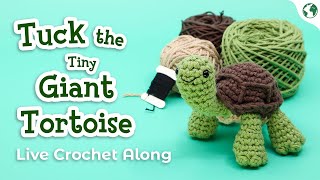 LIVE CROCHET ALONG  Tuck the Giant Tortoise  Live Crochet Along Fundraiser